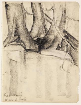 Cedar Roots Montreal River