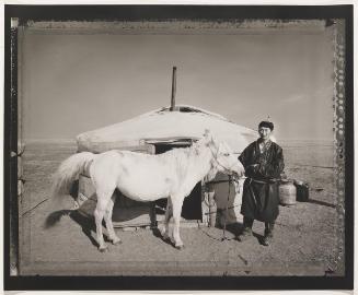 Mongolian Fast Horse  from Nomadic Mongolian Series