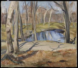 Spring on Mount Royal