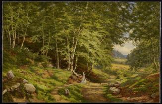 Forest Landscape