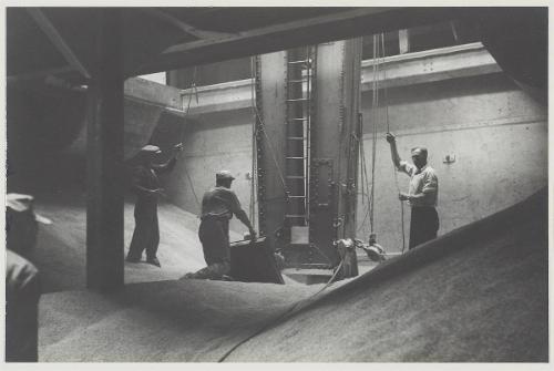 Canadian Industry - Grain Elevator Series Interior: Men in the Hold