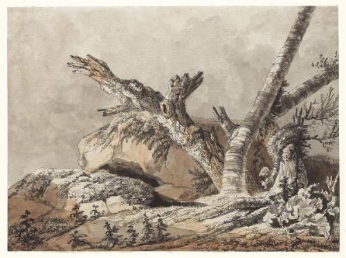 Jean-Antoine Constantin