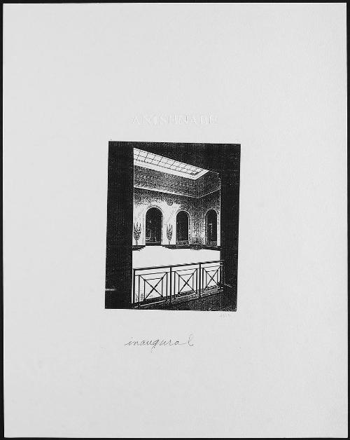 Transformation of the Art Gallery of Ontario Walker Court Study #6: Inaugural