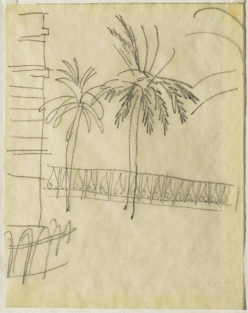 Palm Trees at Cannes