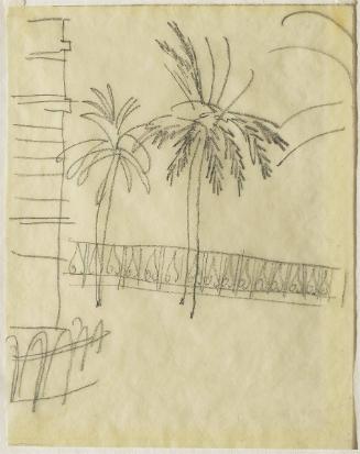 Palm Trees at Cannes