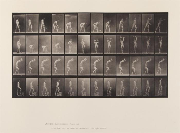 Eadweard Muybridge