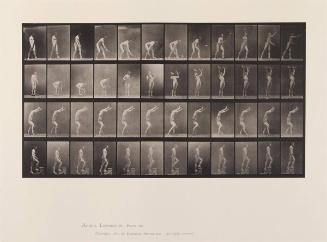 Plate 488: "Animal Locomotion" [Activities: Man Stepping; Hand-standing; Lifting Weights; Serving]