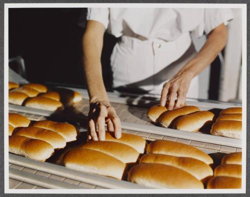 Hot Dog Buns