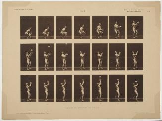 Etudes de Physiologie Artistique, plate 3