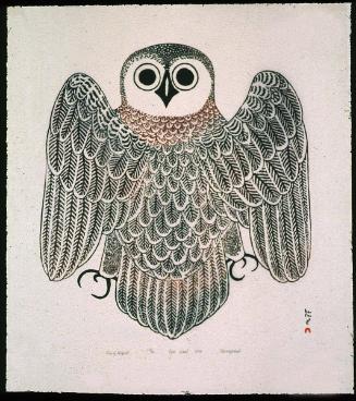 Owl of Kingait