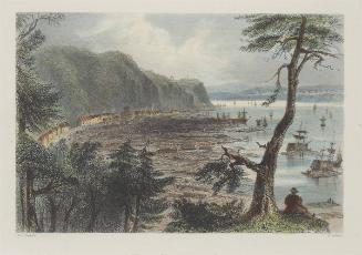 Timber Depot near Quebec