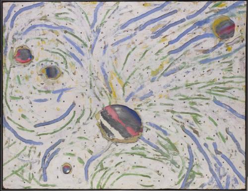 Cross Section of a Cumulus Cloud