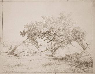 Le Cerisier de la Plante-a-Biau