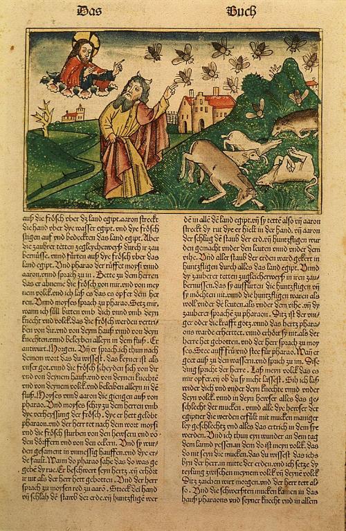 Moses and the Plague of the Flies from The Book of Exodus