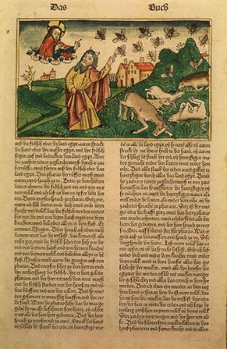 Moses and the Plague of the Flies from The Book of Exodus