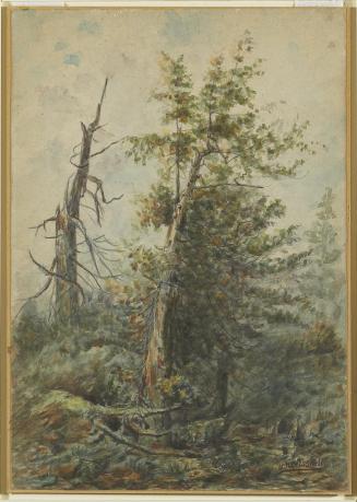William Nicoll Cresswell