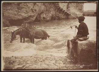 Biarritz - bathing the horses