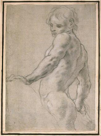 Standing Male Nude