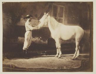 [Man holding a horse by the bridle]