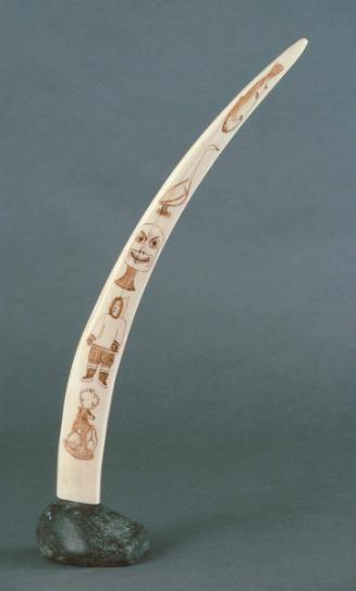 Incised Tusk