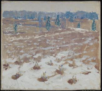 Plowed Fields and Melting Snow