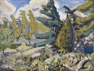 Untitled Forest Landscape