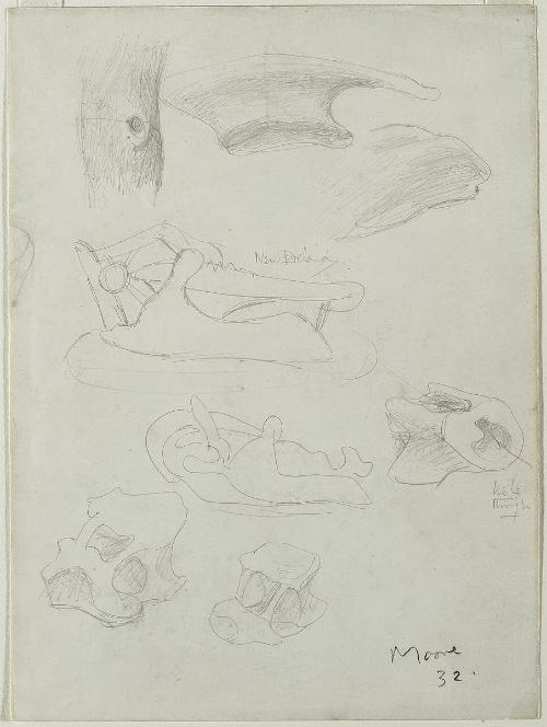 Ideas for Sculpture (New Ireland)