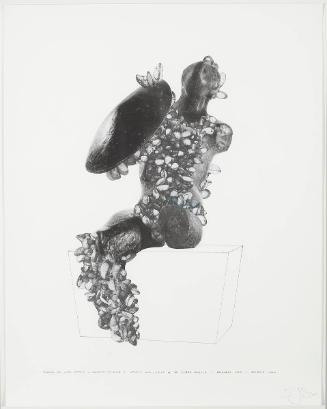 Proposal for Lake Ontario –Infestation Piece (Warrior with Shield vs the Zebra Mussel) December 2005-September 2006