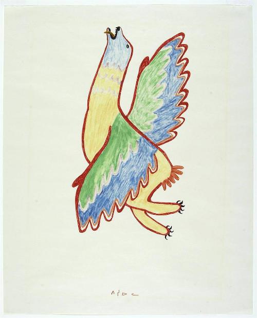 Seal/Bird Transformation