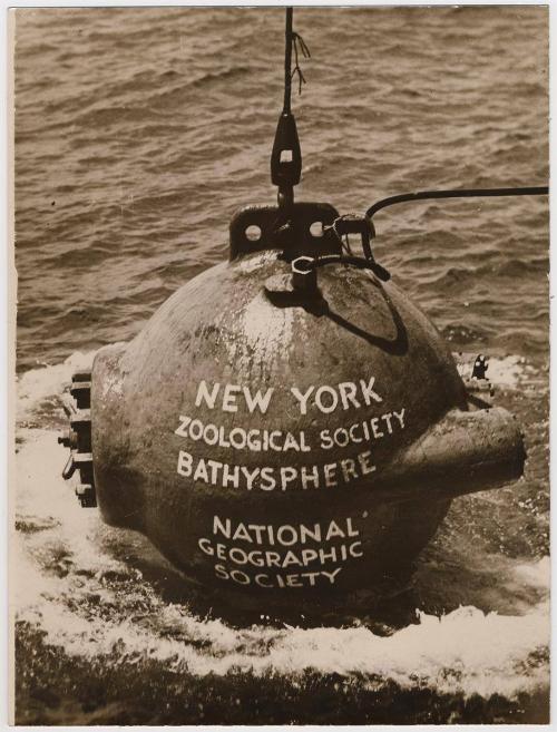 Dr. Beebe's 2,500 Feet Exploit Under the Sea.