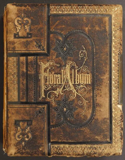 Peterkin Family (Theresa Bywater Peterkin) Album