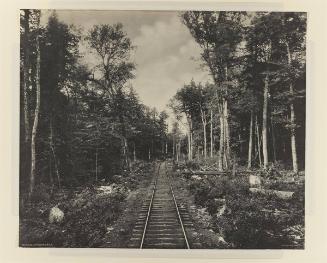 Ganoga Lake Branch, L.V.R.R.