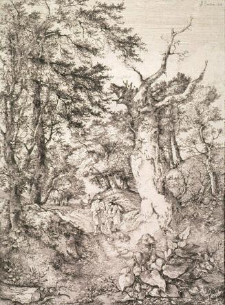 Sandy Road through Woodlands