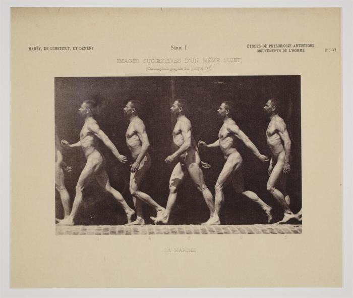 Etienne Jules Marey