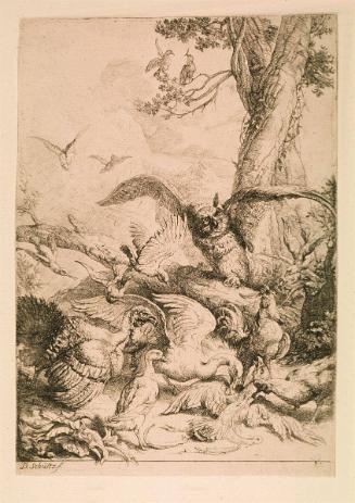 The Fable of the Plucked Peacock