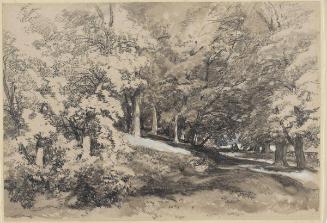 James Duffield Harding