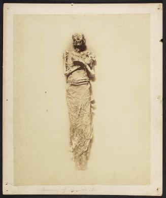 Mummy of Ramses II