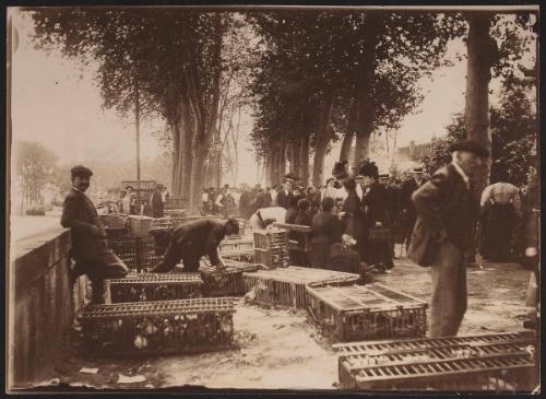 Dax: Market on the ramparts