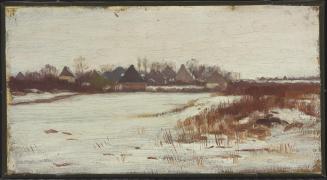 Snow Landscape