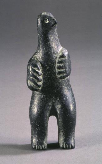 Bear/Bird Transformation