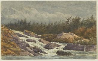 The North Falls, Muskoka