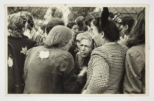 Three women in conversation through a fence
