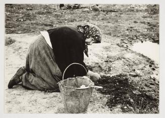 Elderly woman with bucket digging for food