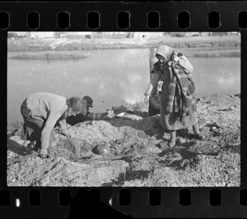 Two women searching the ground for food