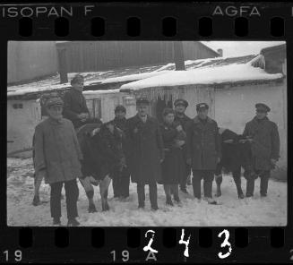 Workers of the Transport Department, standing with cows, in winter