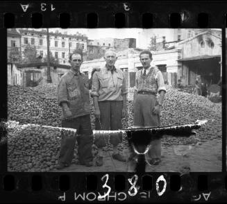 Delivery of potatoes to the ghetto