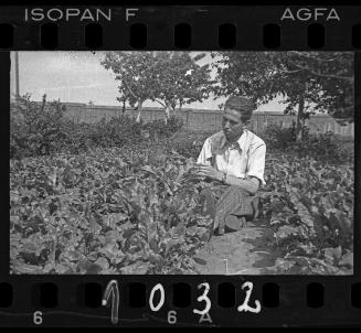 Young man sitting in a vegetable garden