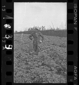 Man standing in a field in the ghetto