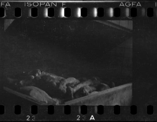 Corpses and body parts in the morgue