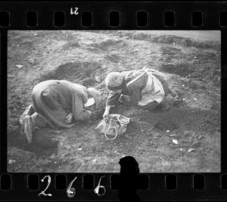 Elderly residents digging for food in the ground